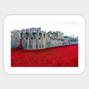 Tower of London Red Poppy Poppies UK Sticker